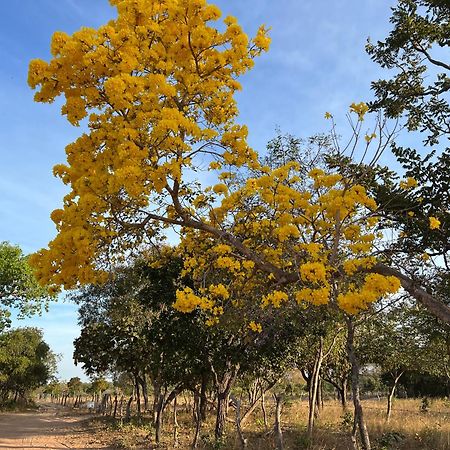 Fervedouro E Pousada Por Enquanto Sao Felix do Tocantins Eksteriør bilde